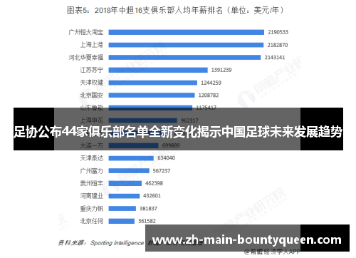 足协公布44家俱乐部名单全新变化揭示中国足球未来发展趋势