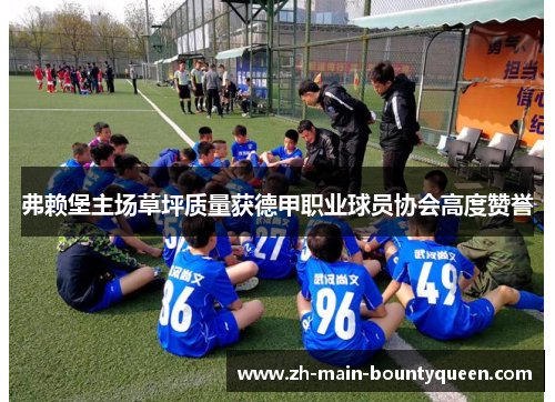 弗赖堡主场草坪质量获德甲职业球员协会高度赞誉